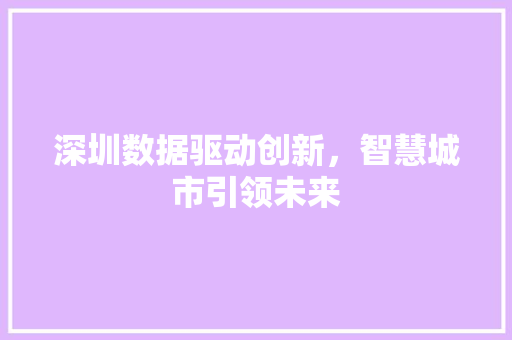 深圳数据驱动创新，智慧城市引领未来  第1张