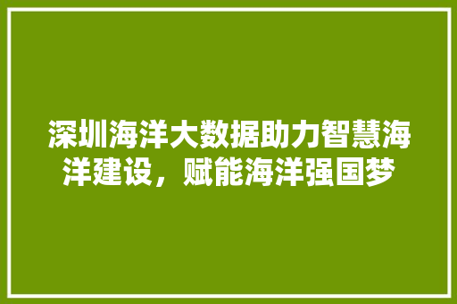 深圳海洋大数据助力智慧海洋建设，赋能海洋强国梦