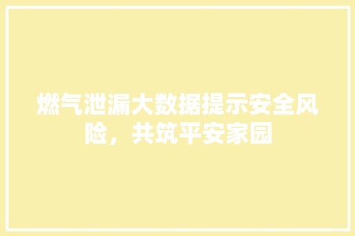 燃气泄漏大数据提示安全风险，共筑平安家园