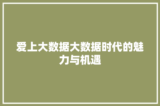 爱上大数据大数据时代的魅力与机遇  第1张