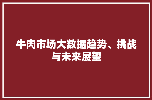 牛肉市场大数据趋势、挑战与未来展望