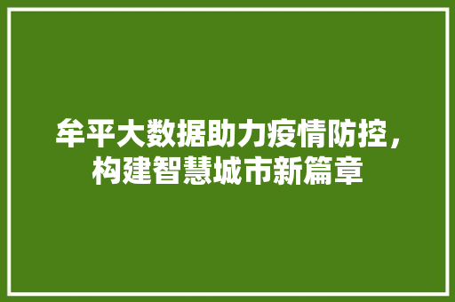 牟平大数据助力疫情防控，构建智慧城市新篇章  第1张