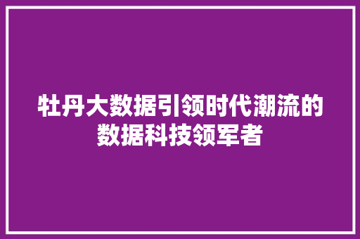 牡丹大数据引领时代潮流的数据科技领军者