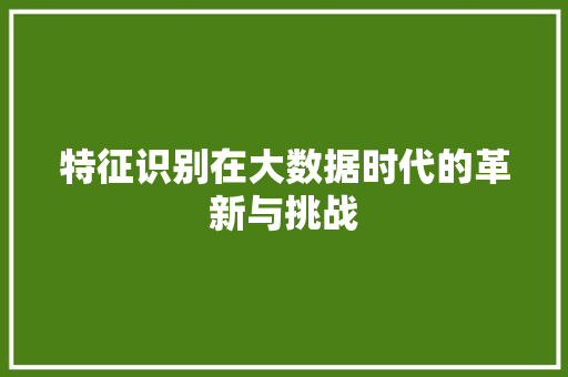 特征识别在大数据时代的革新与挑战