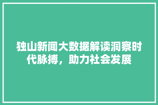 独山新闻大数据解读洞察时代脉搏，助力社会发展  第1张