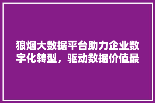 狼烟大数据平台助力企业数字化转型，驱动数据价值最大化  第1张