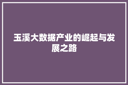 玉溪大数据产业的崛起与发展之路