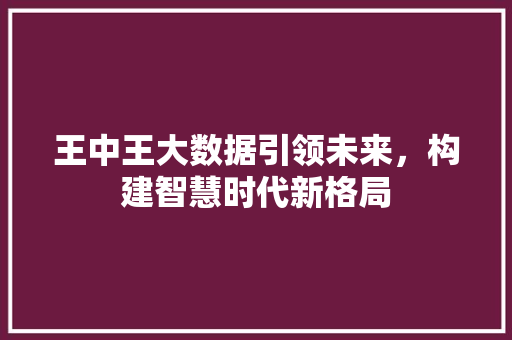 王中王大数据引领未来，构建智慧时代新格局  第1张