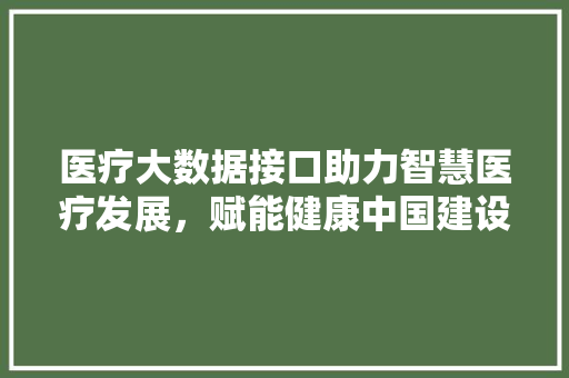 医疗大数据接口助力智慧医疗发展，赋能健康中国建设  第1张