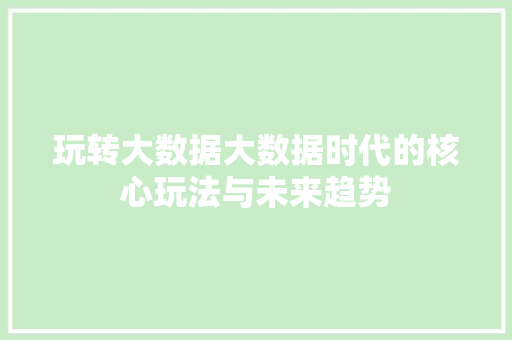 玩转大数据大数据时代的核心玩法与未来趋势