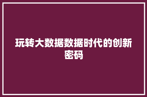 玩转大数据数据时代的创新密码  第1张