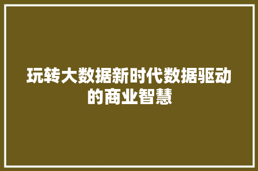 玩转大数据新时代数据驱动的商业智慧