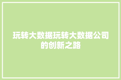 玩转大数据玩转大数据公司的创新之路