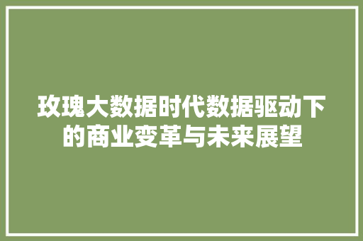 玫瑰大数据时代数据驱动下的商业变革与未来展望