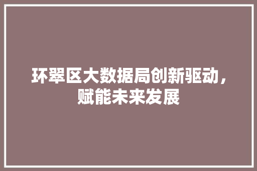 环翠区大数据局创新驱动，赋能未来发展  第1张