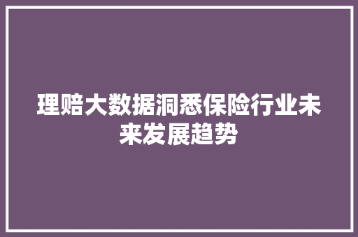 理赔大数据洞悉保险行业未来发展趋势