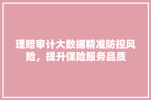 理赔审计大数据精准防控风险，提升保险服务品质