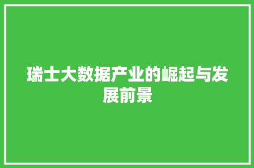 瑞士大数据产业的崛起与发展前景