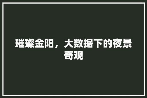璀璨金阳，大数据下的夜景奇观  第1张