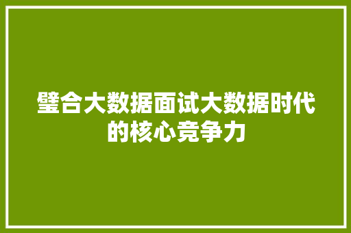 璧合大数据面试大数据时代的核心竞争力