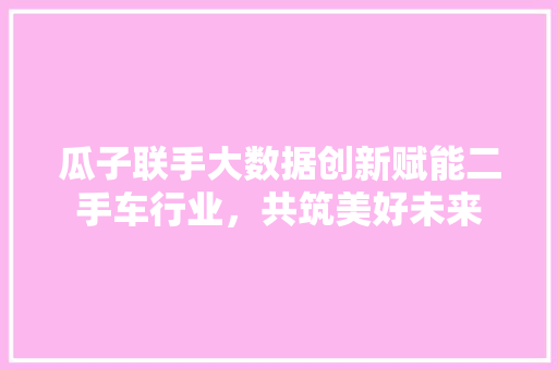 瓜子联手大数据创新赋能二手车行业，共筑美好未来