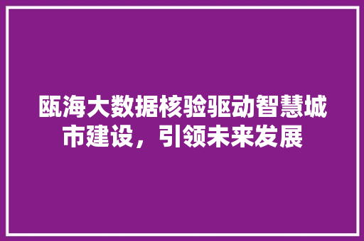瓯海大数据核验驱动智慧城市建设，引领未来发展  第1张