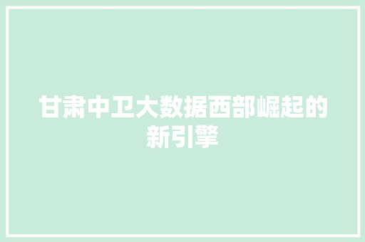 甘肃中卫大数据西部崛起的新引擎