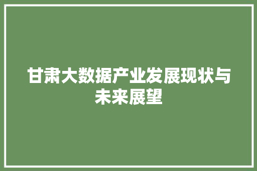 甘肃大数据产业发展现状与未来展望