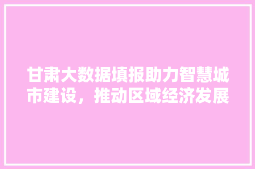 甘肃大数据填报助力智慧城市建设，推动区域经济发展