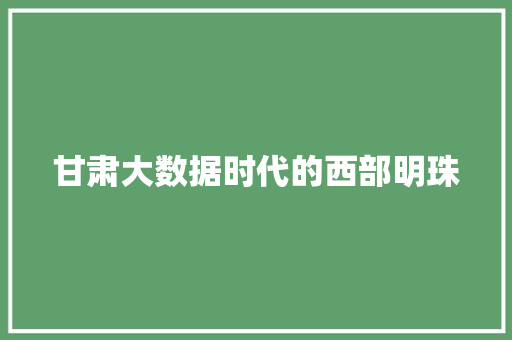 甘肃大数据时代的西部明珠