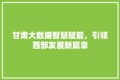 甘肃大数据智慧赋能，引领西部发展新篇章