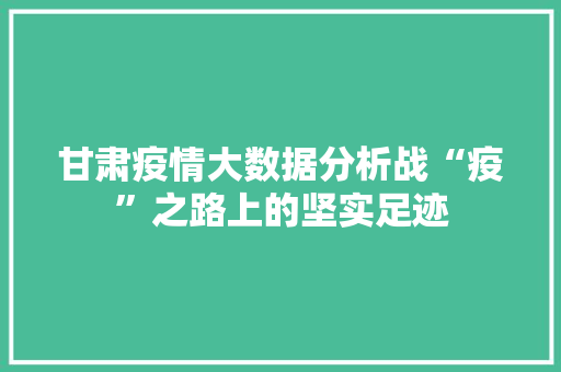 甘肃疫情大数据分析战“疫”之路上的坚实足迹