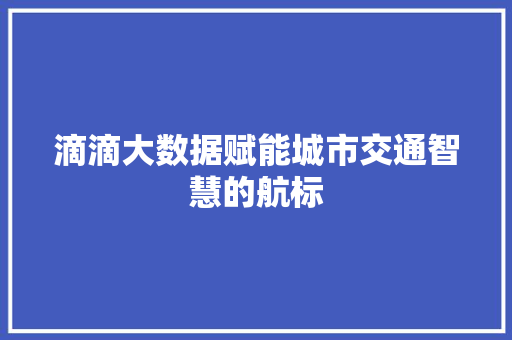 滴滴大数据赋能城市交通智慧的航标  第1张