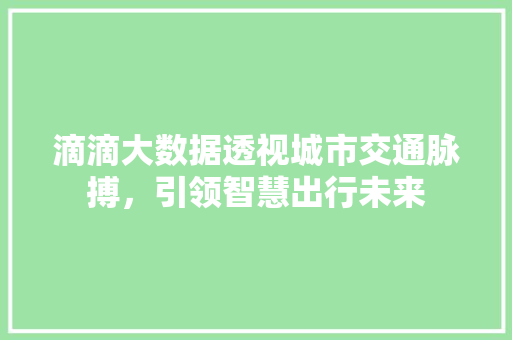 滴滴大数据透视城市交通脉搏，引领智慧出行未来  第1张