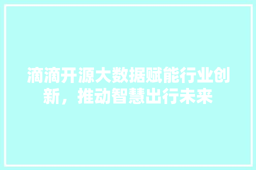 滴滴开源大数据赋能行业创新，推动智慧出行未来