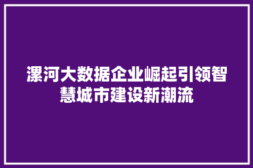 漯河大数据企业崛起引领智慧城市建设新潮流