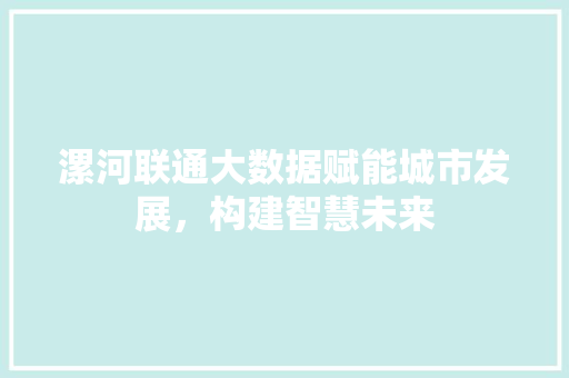 漯河联通大数据赋能城市发展，构建智慧未来