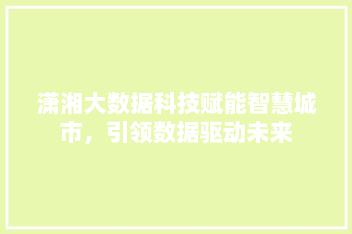 潇湘大数据科技赋能智慧城市，引领数据驱动未来  第1张