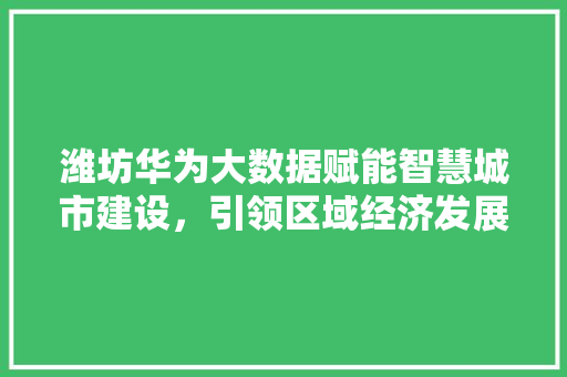 潍坊华为大数据赋能智慧城市建设，引领区域经济发展  第1张