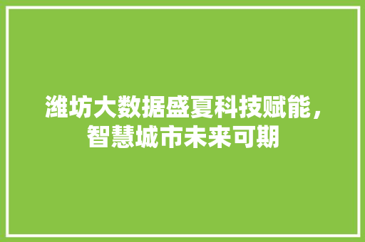 潍坊大数据盛夏科技赋能，智慧城市未来可期