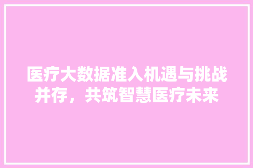 医疗大数据准入机遇与挑战并存，共筑智慧医疗未来  第1张