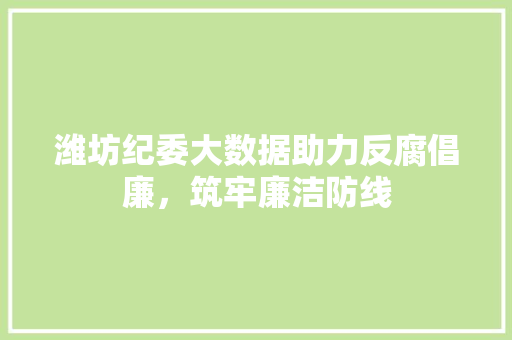 潍坊纪委大数据助力反腐倡廉，筑牢廉洁防线