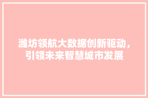 潍坊领航大数据创新驱动，引领未来智慧城市发展