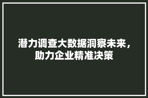 潜力调查大数据洞察未来，助力企业精准决策  第1张