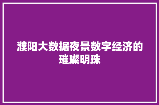 濮阳大数据夜景数字经济的璀璨明珠