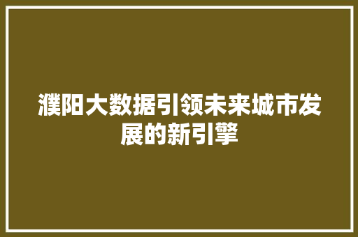 濮阳大数据引领未来城市发展的新引擎