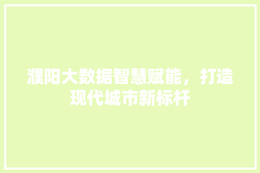 濮阳大数据智慧赋能，打造现代城市新标杆  第1张