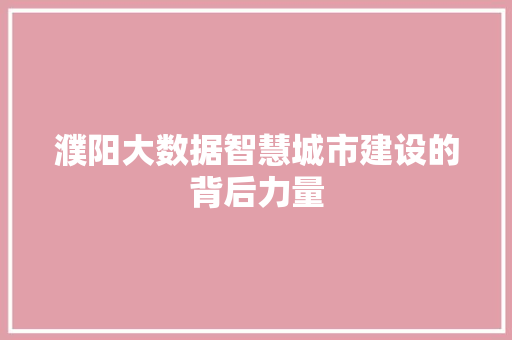 濮阳大数据智慧城市建设的背后力量  第1张