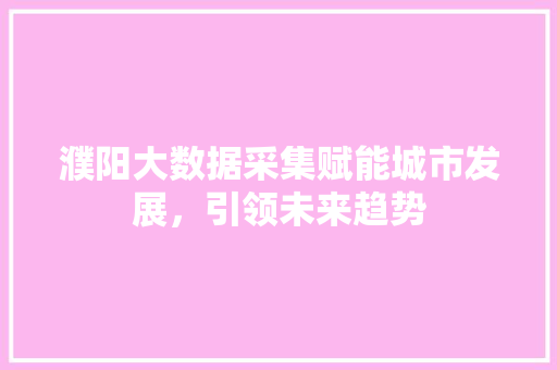 濮阳大数据采集赋能城市发展，引领未来趋势