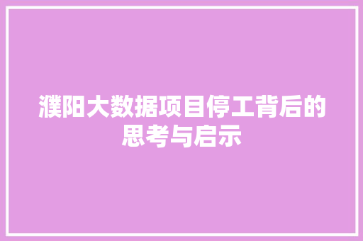 濮阳大数据项目停工背后的思考与启示